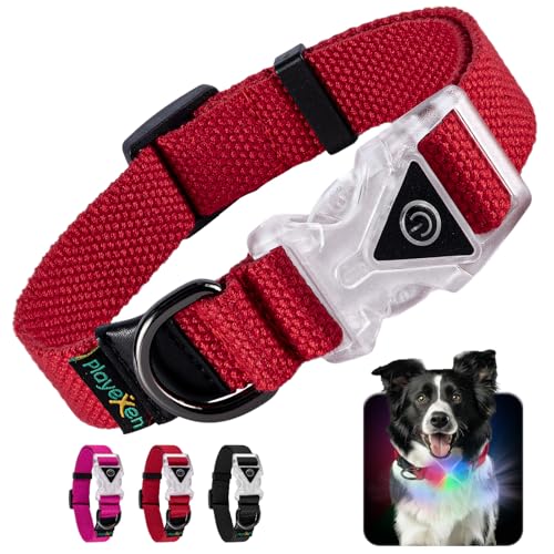 Leuchtendes Hundehalsband Verstellbares Hundehalsband aus weicher Baumwolle für Hunde & Katzen Kleine Mittlere Große LED-Hundehalsband 2 Blitzmodi Hundehalsbänder 35-50/2,5 cm (M), Rot von Playexen