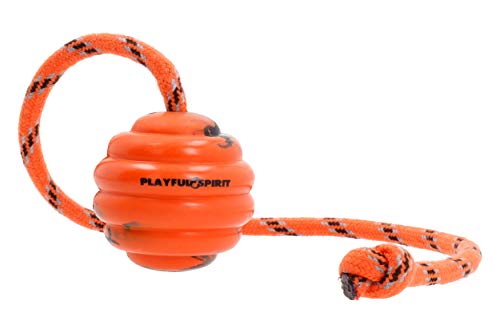 PlayfulSpirit Robuster natürlicher Gummiball am Seil: Hundeball - Perfektes Hundeerziehungs-, Übungs und Belohnungsspielzeug - Mittelgroßes Hundespielzeug für Apportieren, Fangen, Werfen, Tauziehen PlayfulSpirit Robuster natürlicher Gummiball am Seil: Hundeball - Perfektes Hundeerziehungs-, Übungs und Belohnungsspielzeug - Mittelgroßes Hundespielzeug für Apportieren, Fangen, Werfen, Tauziehen von PlayfulSpirit