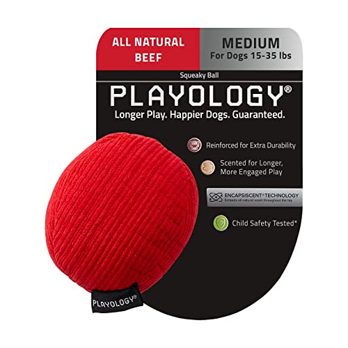 PLAYOLOGY Plüsch-Ball, quietschend, mittelgroß, mit natürlichem Rindfleischduft von Playology
