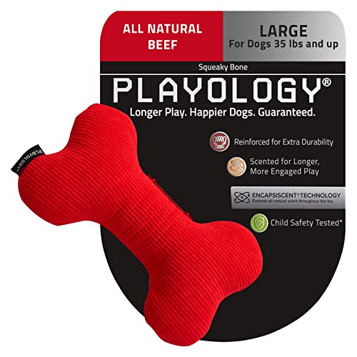 PLAYOLOGY Plüschknochen mit Quietschelement, groß, fesselnder rein natürlicher Rinderduft von Playology
