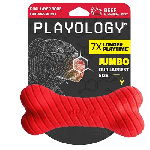 Playology 2-lagiges Knochenspielzeug für große Hunde (ab 16 kg) | Abwechslungsreiches, widerstandsfähiges Kauspielzeug | Natürliches Rindfleischaroma | Interaktiv + langlebig | Ausgeprägter Kautrieb von Playology