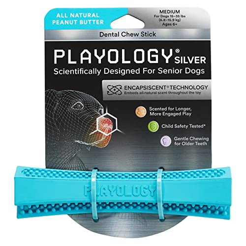 Playology Silver Dental Kaustab Hundespielzeug, Größe M, entworfen für ältere Hunde (6,8–15,9 kg) – ansprechendes natürliches Erdnussbutter-Duftspielzeug – ungiftige Materialien und mäßiges Kauen für von Playology