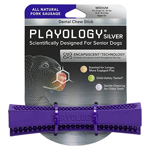 Playology Dental-Kaustab, für ältere Hunde, mittelgroß, mit natürlichem Schweinefleischduft, silberfarben von Playology