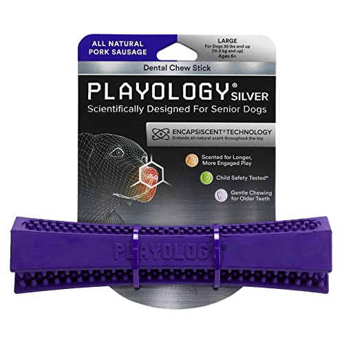 Playology Dental-Kaustab, für ältere Hunde geeignet, groß, mit natürlichem Schweinefleischduft, silberfarben von Playology