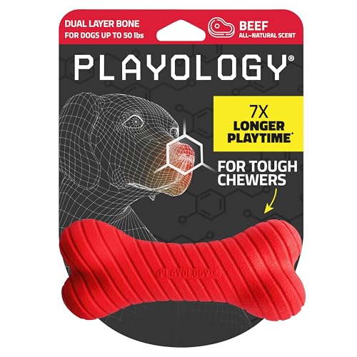 Playology 2-lagiges Knochenspielzeug für mittelgroße Hunde (7–16 kg) | Abwechslungsreiches, widerstandsfähiges Kauspielzeug | Natürliches Rindfleischaroma | Interaktiv | Ausgeprägter Kautrieb von Playology