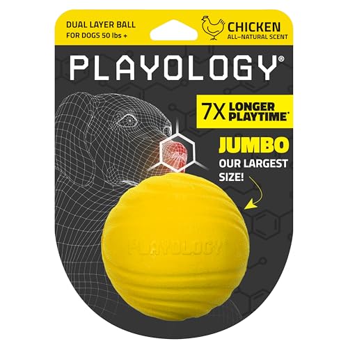 Playology Doppelschichtiger Ball für Hunde, natürliches Huhnduft, Jumbo-Kauball für große bis mittelgroße Hunde (22,7 kg +) von Playology