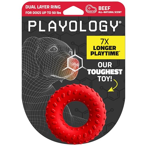 Playology Doppelschichtiges Ringspielzeug für mittelgroße Hunde bis zu 22,7 kg, ansprechendes, natürliches Rindfleischduft, langlebiges Kauspielzeug für Power-Kauer, leicht zu reinigen, interaktiv und von Playology