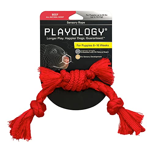 Playology Hundespielzeug aus Seil für sensorische Entwicklung, kleine Hunderassen, interaktives Zerr- und Kauspielzeug für Welpen, 8–16 Wochen, ansprechendes, natürliches Rinderduft-Spielzeug von Playology