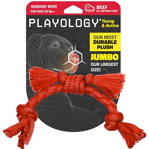 Playology Hundespielzeug aus Seil für sensorische Entwicklung, kleine Hunderassen, interaktives Zerr- und Kauspielzeug für Welpen, 8–16 Wochen, ansprechendes, natürliches Rinderduft-Spielzeug von Playology