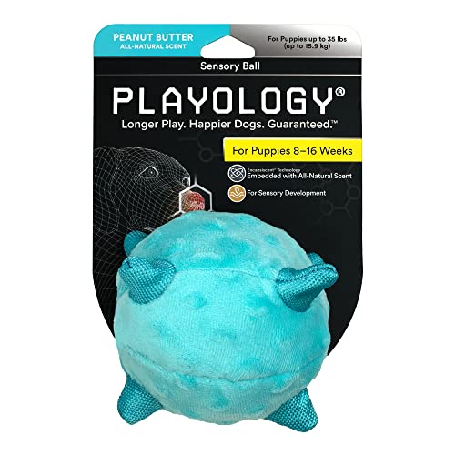 Playology Hundespielzeug für Welpen für sensorische Entwicklung, klein – gefülltes Kauspielzeug mit Quietscher für Welpen 8-16 Wochen – fesselndes ganz natürliches Erdnussbutter Duftspielzeug von Playology