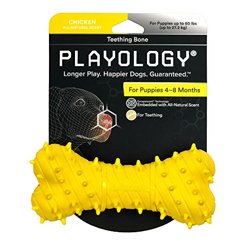 Playology Hundespielzeug für Welpen mit Quietscher für Welpen, 4–8 Monate, mit natürlichem Huhnduft, für Welpen von Playology