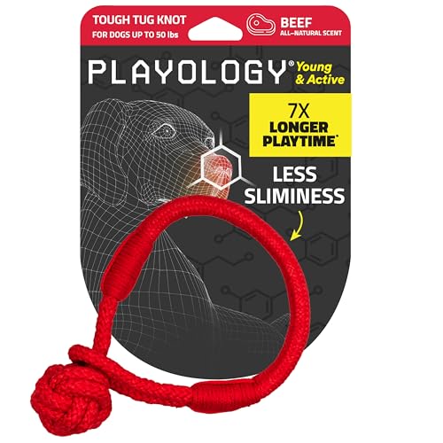 Playology Hundespielzeug für junge und aktive Hunde, engagierendes, natürliches Rindfleisch, mittelgroß, interaktives Zerr- und Kauspielzeug für Welpen bis zu 22,7 kg Playology Hundespielzeug für junge und aktive Hunde, engagierendes, natürliches Rindfleisch, mittelgroß, interaktives Zerr- und Kauspielzeug für Welpen bis zu 22,7 kg von Playology