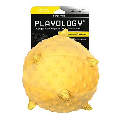 Playology Hundespielzeug für sensorische Entwicklung, groß, gefülltes Kauspielzeug mit Quietscher für Welpen, 8–16 Wochen, ansprechendes, natürliches Huhn-Duft-Spielzeug von Playology