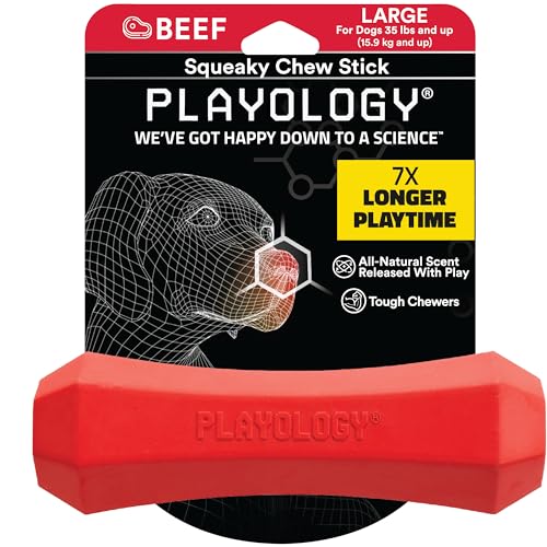 Playology Kaustab mit Quietschelement, Large (35 lbs & up), Rindfleisch von Playology