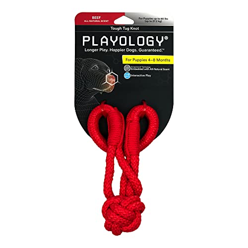 Playology Puppy Tough Knot Tug Toys, Groß – Kauspielzeug mit Quietscher für Welpen 4-8 Monate – fesselndes rein natürliches Rindfleisch duftendes Spielzeug von Playology