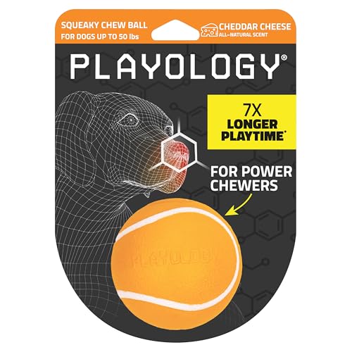 Playology Quietschball für Hunde, Abwechslungsreiches Spielzeug mit natürlichem CheddarkäseAroma für mittelgroße bis große Hunde (ab 5 kg), Quietschen, apportieren und spielen von Playology