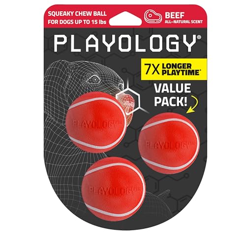 Playology Quietschender Kauball für Hunde, ansprechendes natürliches Rindfleisch-Duftspielzeug für kleine Hunde bis zu 11,3 kg, 3er-Pack, Quietschen, Apportieren und Spielen Playology Quietschender Kauball für Hunde, ansprechendes natürliches Rindfleisch-Duftspielzeug für kleine Hunde bis zu 11,3 kg, 3er-Pack, Quietschen, Apportieren und Spielen von Playology