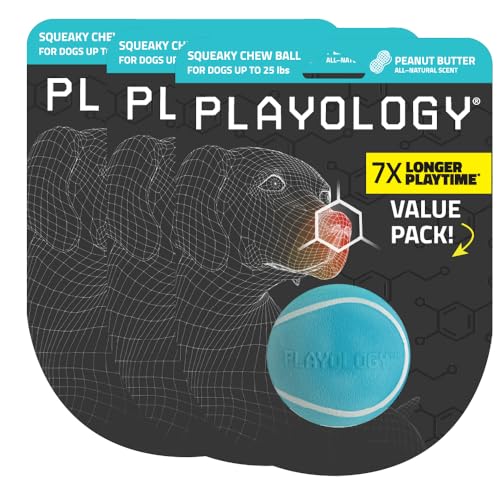 Playology Quietschender Kauball für Hunde, ansprechendes, natürliches Erdnussbutter-Duft, Spielzeug für kleine Hunde bis zu 11,3 kg, 3er-Pack, Quietschen, Apportieren und Spielen Playology Quietschender Kauball für Hunde, ansprechendes, natürliches Erdnussbutter-Duft, Spielzeug für kleine Hunde bis zu 11,3 kg, 3er-Pack, Quietschen, Apportieren und Spielen von Playology