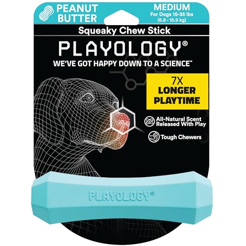 Playology Quietschender Kaustab, Hundespielzeug, für mittelgroße bis große Hunderassen (6,8 kg – 15,9 kg) – für moderate Kauer – fesselndes natürliches Spielzeug mit Erdnussbutter-Duft – ungiftige von Playology