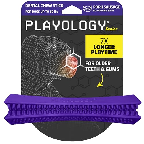 Playology Silver Dental Kaustab für mittelgroße ältere Hunde bis zu 22,7 kg, ansprechendes, natürliches Schweinefleischwurst, duftendes Kauspielzeug für Hunde, ungiftige Materialien für ältere Zähne Playology Silver Dental Kaustab für mittelgroße ältere Hunde bis zu 22,7 kg, ansprechendes, natürliches Schweinefleischwurst, duftendes Kauspielzeug für Hunde, ungiftige Materialien für ältere Zähne von Playology