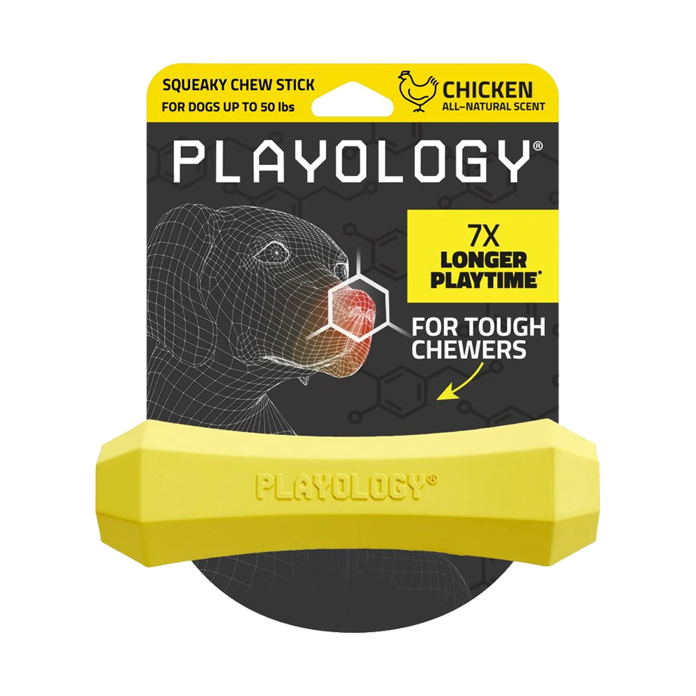 Playology Squeaky Chew Stick - Medium - Rind Playology Squeaky Chew Stick - Medium - Rind von Playology