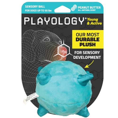 Playology Welpen-Hundeballspielzeug für sensorische Entwicklung, mittelgroß, gefülltes Kauspielzeug mit Quietscher für Welpen bis zu 22,7 kg, ansprechendes sensorisches Spielzeug mit Playology Welpen-Hundeballspielzeug für sensorische Entwicklung, mittelgroß, gefülltes Kauspielzeug mit Quietscher für Welpen bis zu 22,7 kg, ansprechendes sensorisches Spielzeug mit von Playology