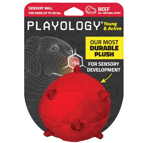 Playology Welpenball für sensorische Entwicklung, mittelgroß, gefülltes Kauspielzeug mit Quietscher für Welpen bis zu 22,7 kg, fesselndes Rinder-Duft, sensorisches Spielzeug von Playology