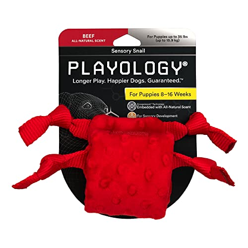 Playology Welpenspielzeug für sensorische Entwicklung, sensorische Schnecke – gefülltes Knister-Kauspielzeug mit Quietscher für Welpen von 8–16 Wochen – fesselndes natürliches Rindfleischduft von Playology