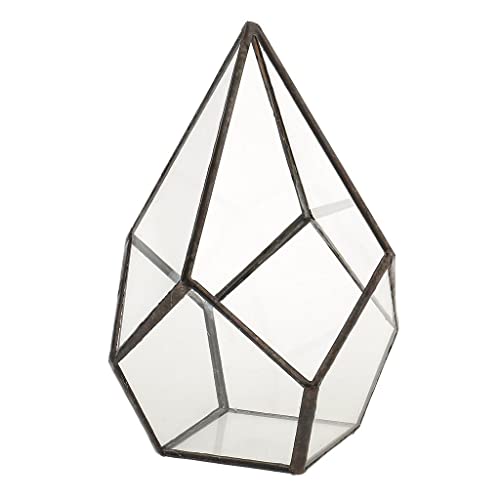 Geometrische Form Glas Blumentopf Terrarium Box Sukkulenten Pflanzkasten Halter Geometrische Form Glas Blumentopf Terrarium Box Sukkulenten Pflanzkasten Halter von Pleayietoopiatiey