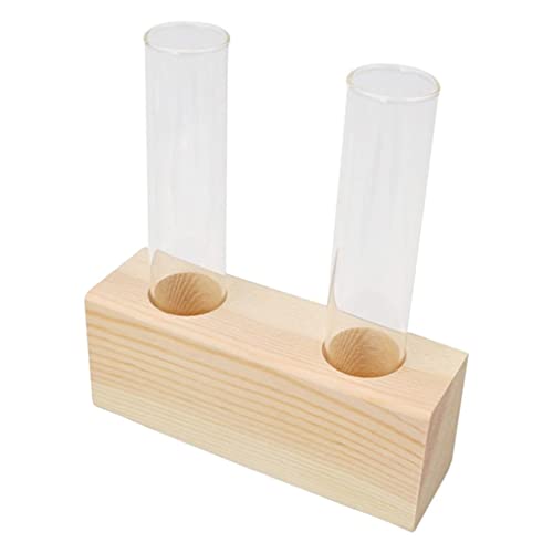 Glas-Reagenzglas-Vase, Pflanzgefäß, Pflanzgefäß, Terrarium für Hydrokulturpflanzen, 2 Röhrchen, Beige von Pleayietoopiatiey