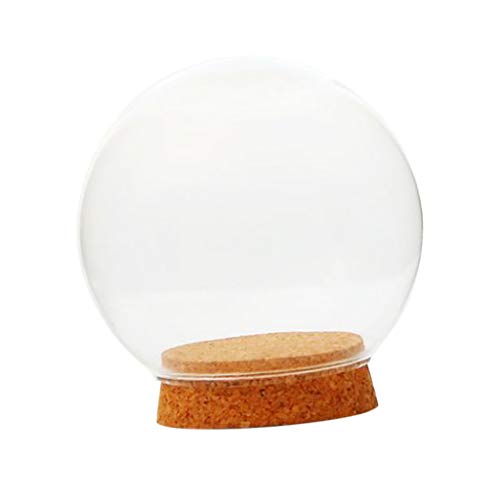 Glaskugelförmige Abdeckung Landschaft Terrarium Behälter Deckel Vase Flasche 15cm Glaskugelförmige Abdeckung Landschaft Terrarium Behälter Deckel Vase Flasche 15cm von Pleayietoopiatiey