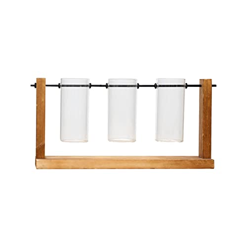 Glasröhrenvase Blumentopf Pflanzgefäß Anzucht Terrarium Haus klar 28 x 14 cm Glasröhrenvase Blumentopf Pflanzgefäß Anzucht Terrarium Haus klar 28 x 14 cm von Pleayietoopiatiey