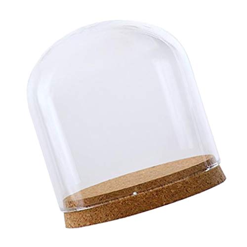 Klarglas Cloche Kuppel Abdeckung Landschaft Terrarium Behälter Mit Holz Basis S Klarglas Cloche Kuppel Abdeckung Landschaft Terrarium Behälter Mit Holz Basis S von Pleayietoopiatiey