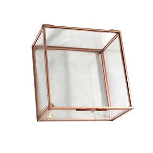Modernes Terrarium aus Glas, Metall, quaderförmig, geometrisches Terrarium, Sukkulenten, Behälter, L, Roségold von Pleayietoopiatiey