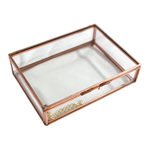 Modernes Terrarium aus Glas, Metall, quaderförmig, geometrisches Terrarium, Sukkulenten, Behälter, M, Roségold von Pleayietoopiatiey