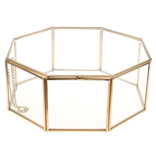 Pleayietoopiatiey Geometrisches Terrarium für Sukkulenten, Glas, transparent, 15,5 x 15,5 x 7,5 cm Pleayietoopiatiey Geometrisches Terrarium für Sukkulenten, Glas, transparent, 15,5 x 15,5 x 7,5 cm von Pleayietoopiatiey