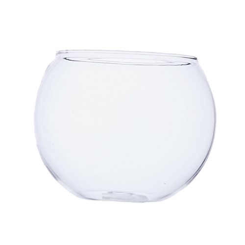 Runde klare Glasvase für Aquarien, Kugelschale, Blumenpflanzen, Terrarium, Heimdekoration Runde klare Glasvase für Aquarien, Kugelschale, Blumenpflanzen, Terrarium, Heimdekoration von Pleayietoopiatiey