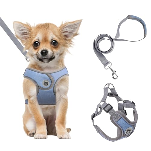 Plliocse Hundegeschirr und Leine zum Spazierengehen, ausbruchsichere Westengeschirre mit reflektierenden Streifen, Step-in-Hundegeschirr für kleine Hunde mit 1,5 m Leine (Blau, L) von Plliocse