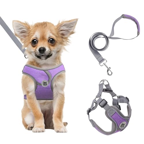 Plliocse Hundegeschirr und Leine zum Spazierengehen, ausbruchsichere Westengeschirre mit reflektierenden Streifen, Step-in-Hundegeschirr für kleine Hunde mit 1,5 m Leine (lila, Medium) von Plliocse