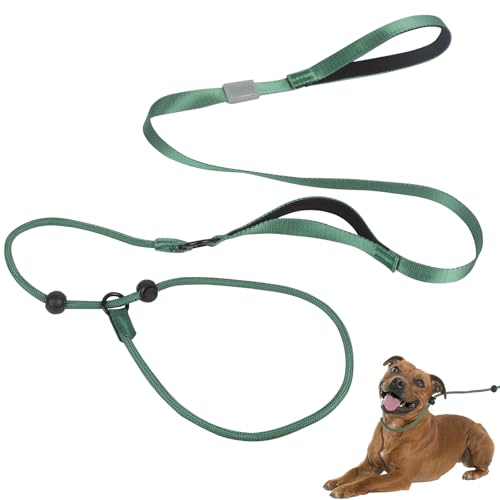 Rope Retrieverleine für Hunde, Schlupfleine für Hunde, 1,7 m, langes Trainingsseil für Hunde, langlebige Hundeleine, Anti-Würgen, Grün Rope Retrieverleine für Hunde, Schlupfleine für Hunde, 1,7 m, langes Trainingsseil für Hunde, langlebige Hundeleine, Anti-Würgen, Grün von Plliocse
