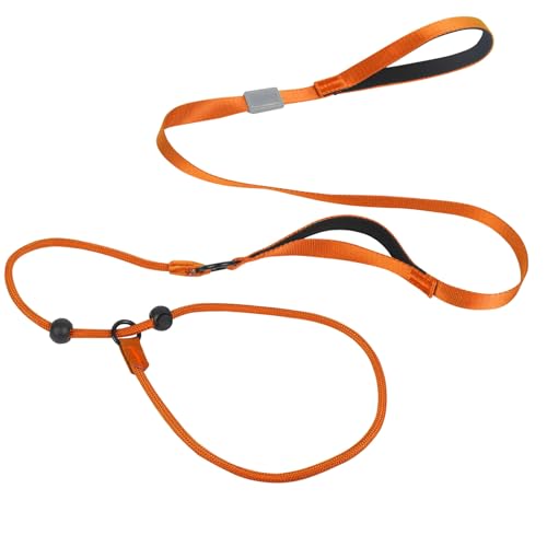 Rope Retrieverleine für Hunde, Schlupfleine für Hunde, 1,7 m, langes Trainingsseil für Hunde, langlebige Hundeleine, Anti-Würgen, Orange Rope Retrieverleine für Hunde, Schlupfleine für Hunde, 1,7 m, langes Trainingsseil für Hunde, langlebige Hundeleine, Anti-Würgen, Orange von Plliocse