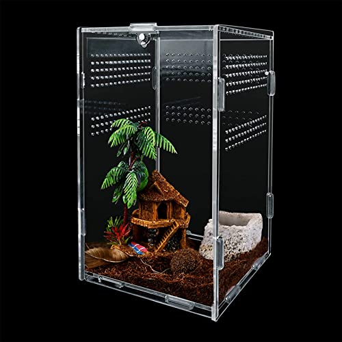Reptilien Terrarium Box, Reptilien Futterbox, Transparente Insekten Futterbox, Reptilien Aufzuchtbox für Spinnen, gehörnte Frösche, Käfer, Haustierschlangen und andere Reptilien, 12 x 12 x 20 cm von PlsMupn
