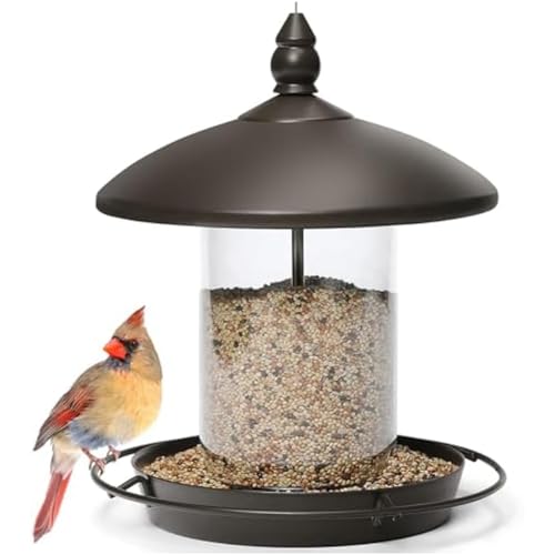 Pluuttiem Vogelfutterspender mit Metalldach - Kaufest zum Aufhängen Von Wildvogelfutter im Freien Pluuttiem Vogelfutterspender mit Metalldach - Kaufest zum Aufhängen Von Wildvogelfutter im Freien von Pluuttiem