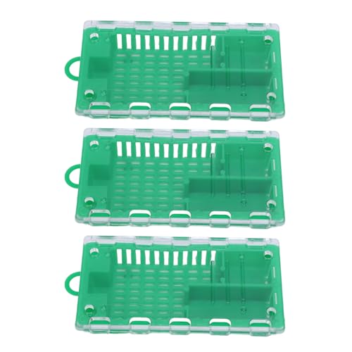Plyisty Königin Bienenkäfig, Königin Biene Aufzucht Käfig Langes Lebensdauer Transparenter Abdeckung Leichtes Kunststoff Tragbares Mehrere Löcher für Imker Ausrüstung Tool (Green) von Plyisty