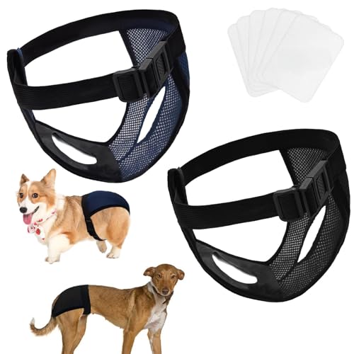 Pmueuff 2er Pack Hundewindeln Wiederverwendbare Mesh Läufigkeitshose für Hündinnen mit 8 Damenbinden Hundewindeln für Hündinnen Waschbare Schutzhose Einstellbar, Schwarz und Blau, XL Pmueuff 2er Pack Hundewindeln Wiederverwendbare Mesh Läufigkeitshose für Hündinnen mit 8 Damenbinden Hundewindeln für Hündinnen Waschbare Schutzhose Einstellbar, Schwarz und Blau, XL von Pmueuff