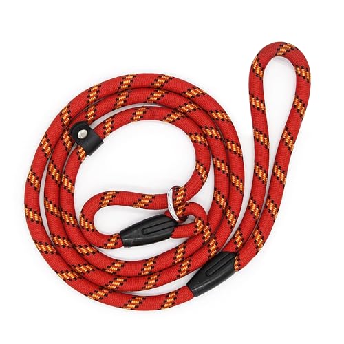 Hundeleine, verstellbar, Nylon, Standard-Hundetrainingsleine für kleine und mittelgroße Hunde, 120 cm, Rot von PoCoSvnny