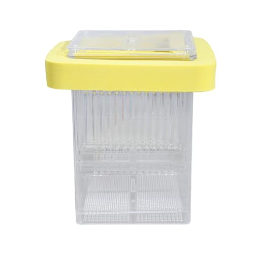 Baby Fisch Zuchtbox Klar Isolation Box Aquarium Brutkasten Doppelschichten für Neugeborene Garnelen Fischzucht von Pocoiau
