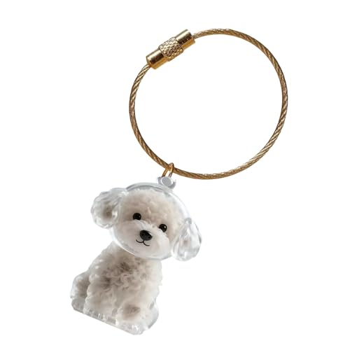 Pocoiau Hundehaar-Erinnerungsbox, Schlüsselanhänger mit transparenter Displaybox, Tierhaar-Aufbewahrungsbox für Haustierverlust, Gedenk-Schlüsselanhänger von Pocoiau
