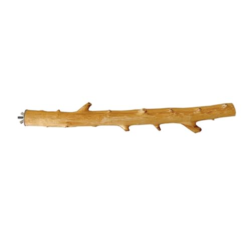 Pocoiau Papageien Schleifkratzer Sitzstange Ständer Vögel Ständer Naturholz Stock Schleifen Ast Pfote Klettern Stehen Pocoiau Papageien Schleifkratzer Sitzstange Ständer Vögel Ständer Naturholz Stock Schleifen Ast Pfote Klettern Stehen von Pocoiau