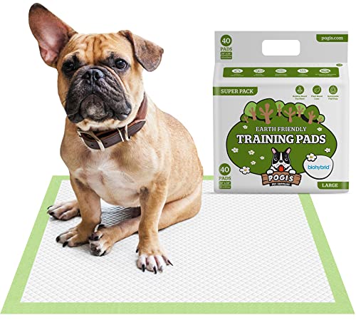 Pogi's Trainingsunterlagen (40 Stück) (60x60cm) — Große, superabsorbierende, erdfreundliche Hundetrainingsunterlagen für kleine bis mittelgroße Hunde von Pogi's Pet Supplies
